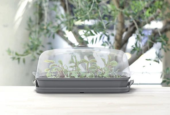 Minipařeniště Respana Table Greenhouse antracit 39,1cm polykarbonové víko