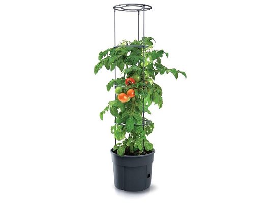 Květináč na pěstování rajčat TOMATO GROWER antracit 29,5cm