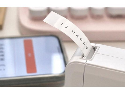 Tiskárna štítků NIIMBOT D110 White