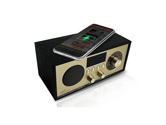 Rádio LTC LXLTC511C Brda