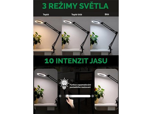 Lupa stolní IMMAX 08977L