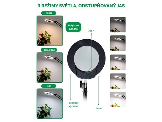 Lupa stolní IMMAX 08977L