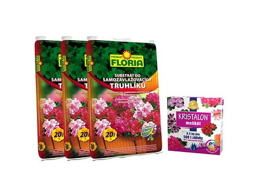 Sada na pěstování muškátů a pelargonií