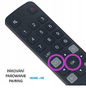 TCL  RC901V FMR1 Originální dálkový ovladač s mikrofonem