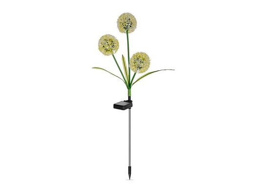 Svítidlo solární REBEL ZAR0580 česnek