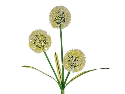 Svítidlo solární REBEL ZAR0580 česnek