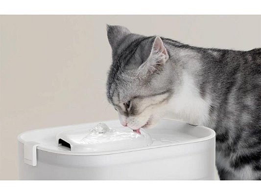 Automat na vodu PETLIBRO Dockstream