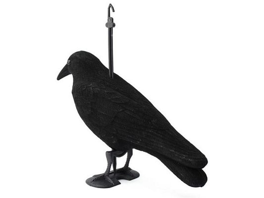 Maketa havrana HUTERMANN 2201 plast