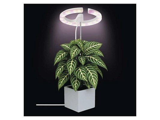 Lampa pěstební EMOS Z7902 Grow 8W