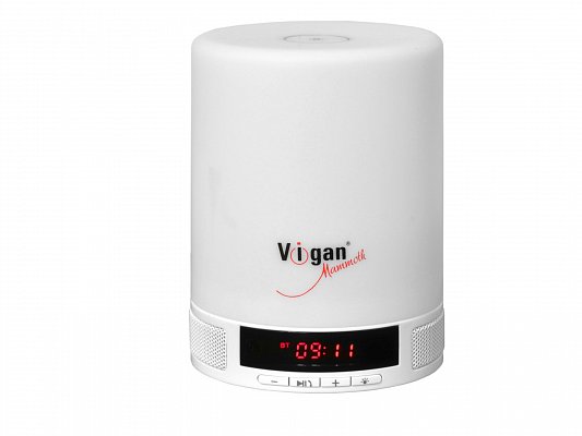 Bluetooth reproduktor VIGAN BR1 COLOR (LV600)