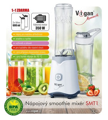 Smoothie mixér, bílo šedý SMT1 VIGAN Mammoth (SMT1)